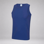 A royal blue sleeveless tank top displayed on a light gray background.