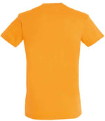 11380 Apricot Back