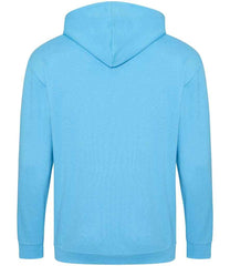 JH050 Hawaiian Blue Back