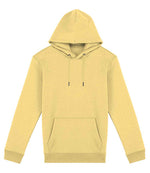 NS401 Pineapple Front