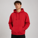 RX350 - Pro Hoodie