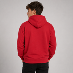 RX350 - Pro Hoodie