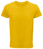 03582 Gold Front