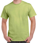 GD02 Pistachio Front