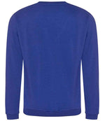 RX301 Royal Blue Back