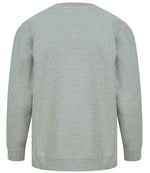 SF530 Heather Grey Back